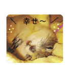リチャードソンジリス ムク vol.01（個別スタンプ：31）