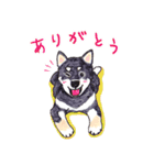 柴犬むぅ＆コマ（個別スタンプ：6）