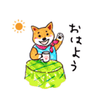 柴犬むぅ＆コマ（個別スタンプ：11）