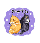 柴犬むぅ＆コマ（個別スタンプ：13）