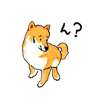 柴犬むぅ＆コマ（個別スタンプ：17）