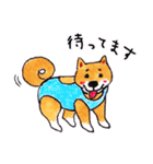 柴犬むぅ＆コマ（個別スタンプ：25）