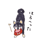 柴犬むぅ＆コマ（個別スタンプ：31）