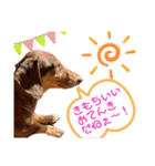ミニチュアダックス りん物語のんびり編（個別スタンプ：2）