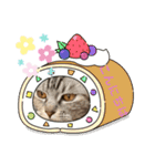 ☆ねこぱいんにゃっぷる☆（個別スタンプ：9）