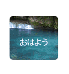 きちんと大人スタンプ～あいさつ～（個別スタンプ：1）