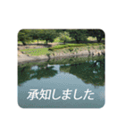 きちんと大人スタンプ～あいさつ～（個別スタンプ：10）