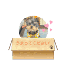 小福ちゃん①（個別スタンプ：8）