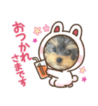 小福ちゃん①（個別スタンプ：21）