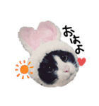 おもちとくろみつ（個別スタンプ：1）