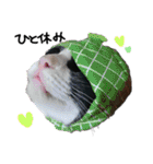 おもちとくろみつ（個別スタンプ：33）