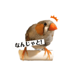 おもちと銀ちゃん（個別スタンプ：7）