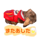 ミニチュアダックス りん物語（個別スタンプ：6）