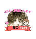ネコがネコであるように（個別スタンプ：2）