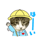 ネコがネコであるように（個別スタンプ：3）