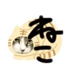 ネコがネコであるように（個別スタンプ：6）