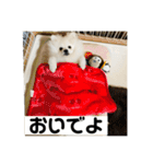 こむぎ大先生③（個別スタンプ：7）
