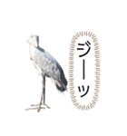 どー物（個別スタンプ：4）