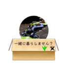 どー物（個別スタンプ：15）