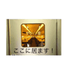 185系スタンプ（個別スタンプ：2）