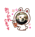 ましむらスタンプ工房（個別スタンプ：2）