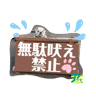 ブルドッグのアラモ君（個別スタンプ：18）