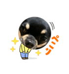 ひのまる スタンプ8（個別スタンプ：7）