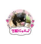 ひのまる スタンプ8（個別スタンプ：16）