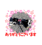 磨鳳です（個別スタンプ：4）