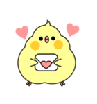 もっちりいんこ（個別スタンプ：1）