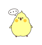もっちりいんこ（個別スタンプ：5）