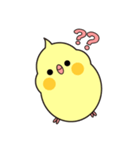 もっちりいんこ（個別スタンプ：6）