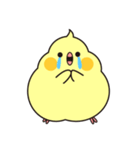 もっちりいんこ（個別スタンプ：8）