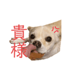 研ナモコのきもち（個別スタンプ：5）