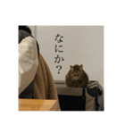 うちの犬と犬と猫のスタンプ（個別スタンプ：25）