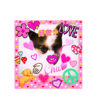 わんわんわん2MILK-CHAN（個別スタンプ：1）