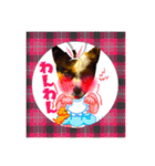 わんわんわん2MILK-CHAN（個別スタンプ：13）