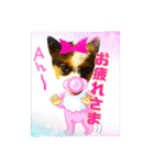 わんわんわん2MILK-CHAN（個別スタンプ：16）