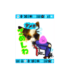 わんわんわん2MILK-CHAN（個別スタンプ：18）