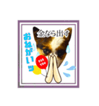 わんわんわん2MILK-CHAN（個別スタンプ：21）