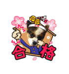 わんわんわん2MILK-CHAN（個別スタンプ：29）