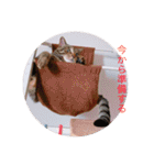 ティラ＆サーフ（個別スタンプ：24）