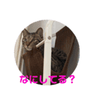 ティラ＆サーフ（個別スタンプ：39）