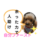 たけしのスタンプ その19（個別スタンプ：2）