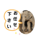 たけしのスタンプ その19（個別スタンプ：3）