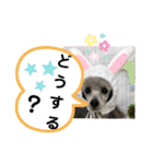 たけしのスタンプ その19（個別スタンプ：4）