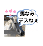 たけしのスタンプ その19（個別スタンプ：5）