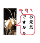 たけしのスタンプ その19（個別スタンプ：6）
