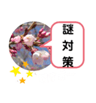 たけしのスタンプ その19（個別スタンプ：8）