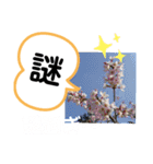 たけしのスタンプ その19（個別スタンプ：9）